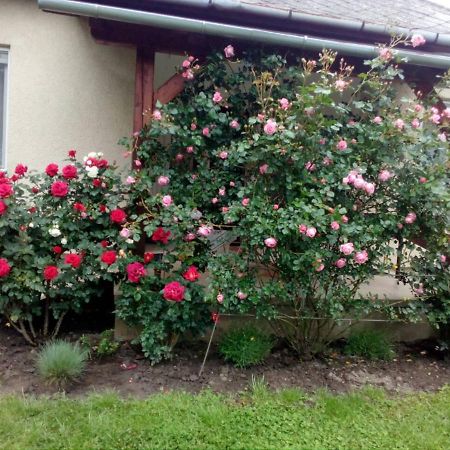הוילה Balatonkeresztúr Uj Elet Weekend House מראה חיצוני תמונה